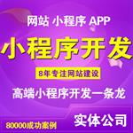 阜陽(yáng)正規(guī)公司精品站服務(wù)與軟件外包服務(wù)解析